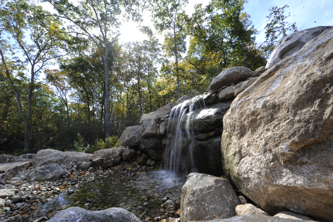 Falcone Healing Garden 5