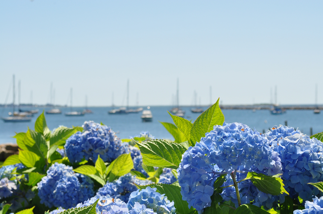 Wamphassuc Point Residence 6