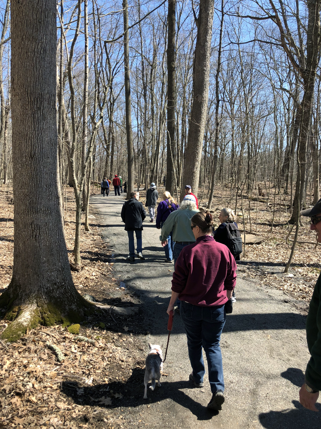 Bicentennial Trail 6