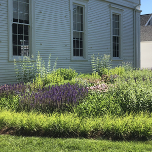 Mystic Seaport Museum - Mrs. Vietors Garden